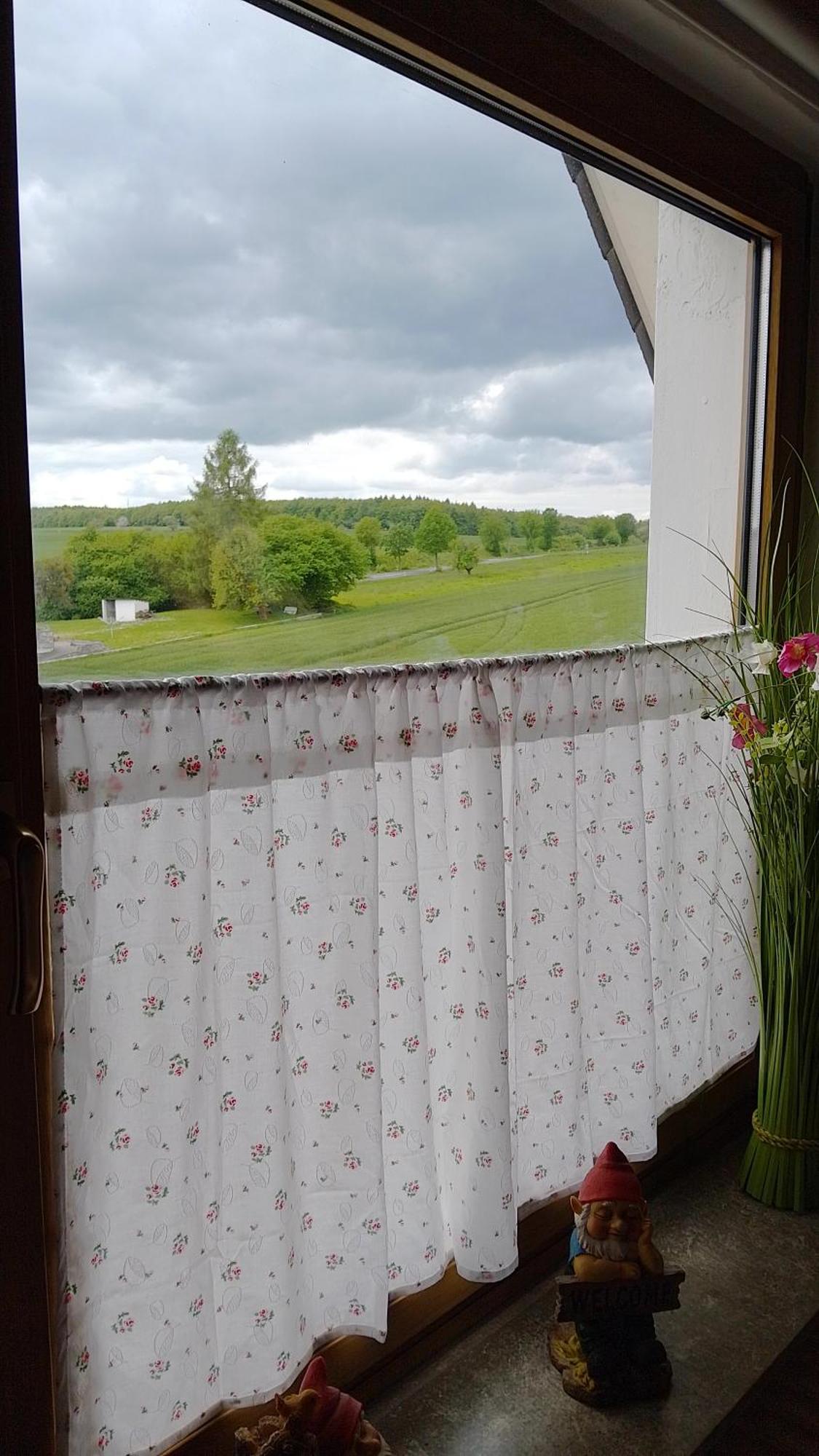 Gruene Oase In Hann. Muenden Hannoversch Münden Zewnętrze zdjęcie